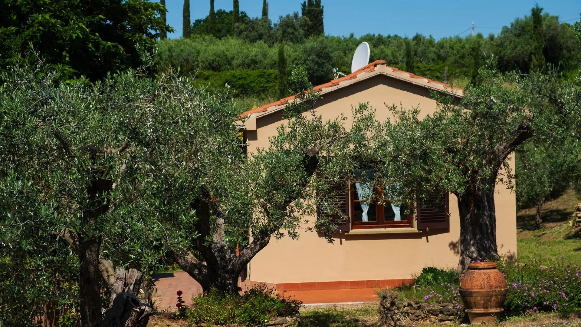 Agriturismo I Cerroni Montescudaio Farm stay