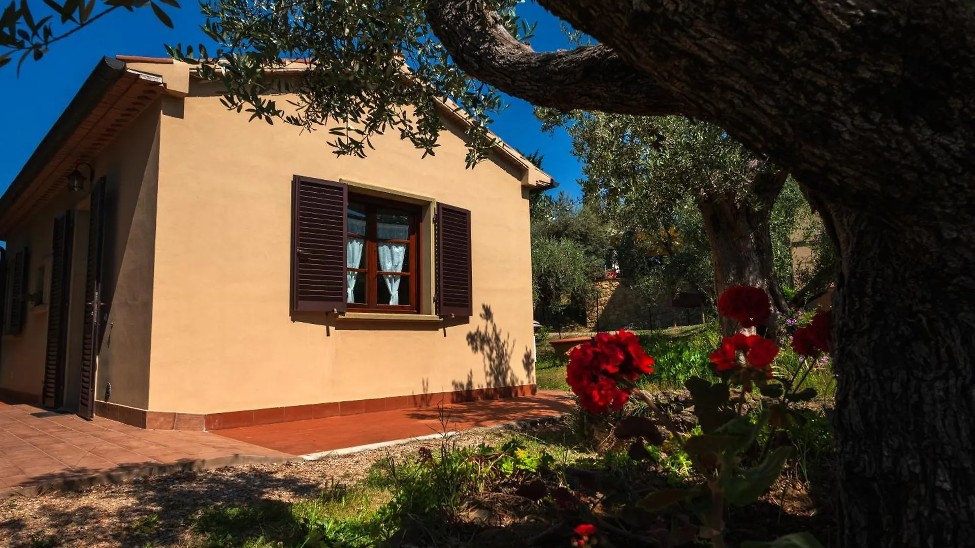 Farm stay Agriturismo I Cerroni Montescudaio Italy
