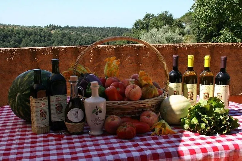 Agriturismo I Cerroni Montescudaio Farm stay